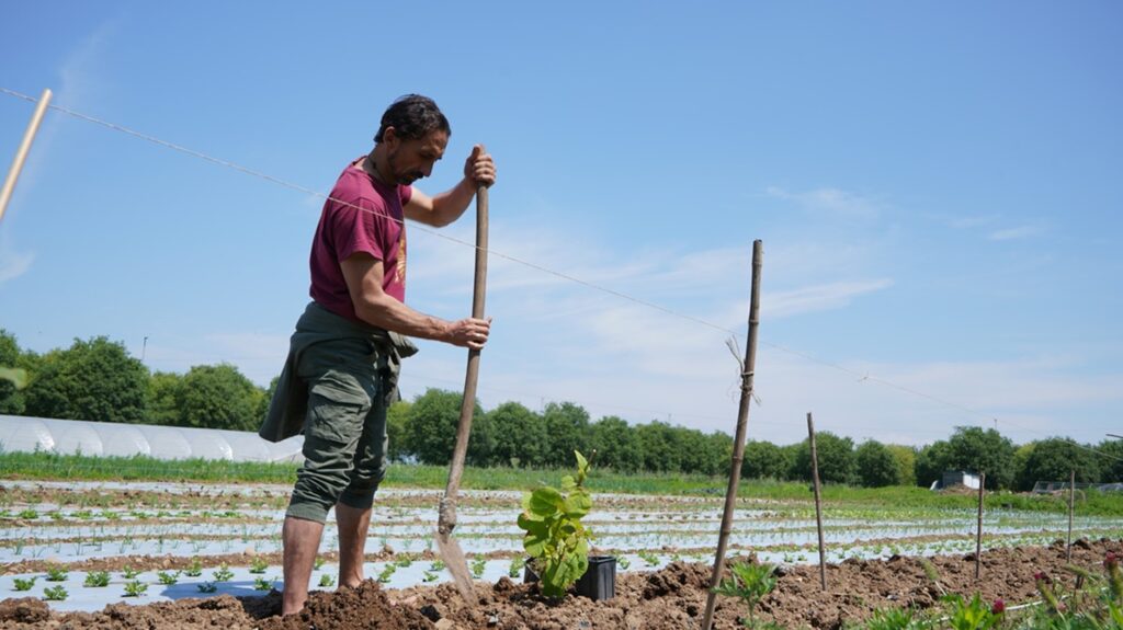 Rosario Scuteri di di Greenforlife pianta 1000 alberi nei pressi di Milano 