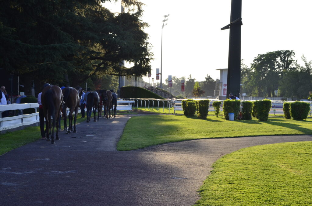 Klaynn Trionfa alle Oaks d’Italia Tattersalls all’Ippodromo di Milano