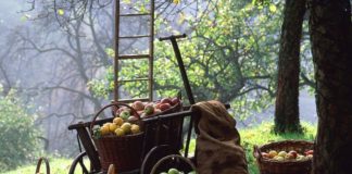 Recupero e biodiversità, ecco l’Italia dei record di ‘Eccellenze Rurali’