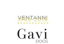 Vino, il Gavi Docg compie vent’anni
