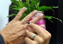 Vescovi lombardi: ‘Aiutare i divorziati’