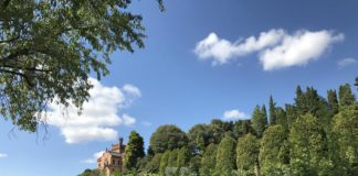 Lezioni in vigna per le scuole