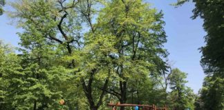 A Milano primo parco senza barriere