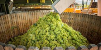 Vinitaly: Giro fa tappa in Franciacorta