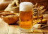 Degustazione di birra artigianale sui tetti di Milano