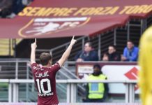 Torino-Inter 1-0