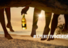 Casa Corona, temporary beer bar per aperitivi e brunch