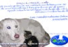 Cagnolino ucciso dal vicino di casa, associazine Gaia si costituisce parte civile.