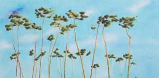 Mostre del weekend, dalla pittura contemporanea al ‘600