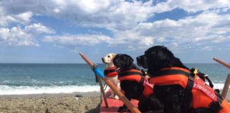 Estate: Sics, 400 cani ‘eroi’ su spiagge
