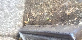 “ Help” Sicurezza e tutela del cittadino…