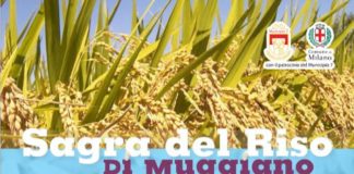 Sagra del Riso al quartiere di Muggiano, la prima edizione sabato 6 ottobre.