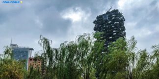 A Milano inaugurata Biblioteca Alberi