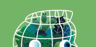 New Ecology … la vera new Economy.