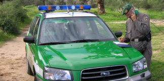 Forestali, violati diritti sociali.