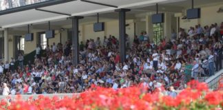 Ippica:un mln per giorno clou a San Siro