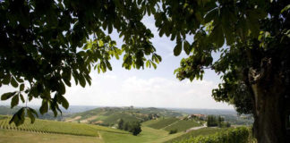 Anche i Poderi Luigi Einaudi alla MIlano Wine Week.