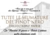 Il Pinot Nero dell’Oltrepò, mercoledì 23 a La Porta del Vino.