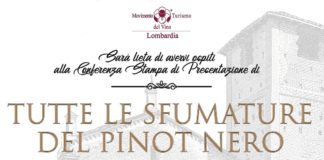 Il Pinot Nero dell’Oltrepò, mercoledì 23 a La Porta del Vino.