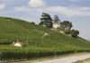 Poderi Luigi Einaudi: Il Barolo protagonista a “Grandi Langhe”.