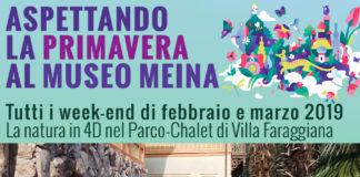 Aspettando la primavera. Con le famiglie tra colori, profumi ed esperienze multimediali sulla natura al Museo Meina sul Lago Maggiore.