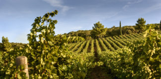 Monteverro torna a Simply The Best.
