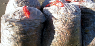 Rifiuti, dichiarazione MUD entro 30 aprile.