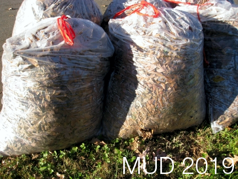 mud__280_242