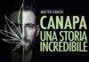 Canapa, presentazione del libro di Matteo Gracis venerdì 10 al Green Town.