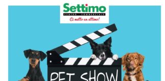 Pet Show – Amici a 4 zampe 8 e 9 giugno Centro Commerciale Settimo.