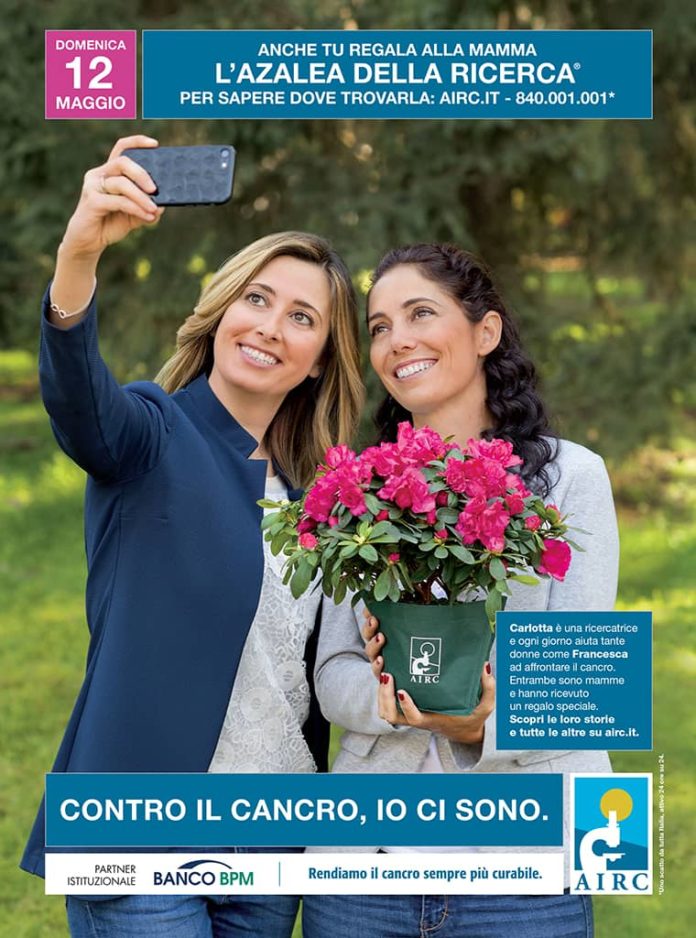 azalea-della-ricerca-airc-locandina-2019