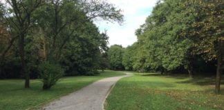 Giornata Europea dei Parchi venerdì 24 al Bosco delle Querce.