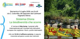 Big Jump 2019: domenica tuffo collettivo nel Ticino e nell’Olona per la tutela dei fiumi.
