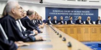 Corte Europea accoglie ricorso della famiglia a cui sono stati tolti 10 figli.