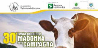 La Madonna della Campagna a Seregno, 8 giorni di festa per 2 weekend.