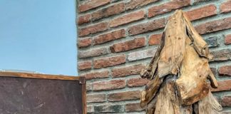 AlberEgo, l’idea regalo che fa bene al pianeta.