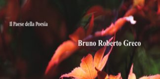 Promettente esordio in poesia per l’ingegnere varesino Bruno Roberto Greco.