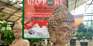 Un passo dal Giappone, domenica 29a cura di Steflor