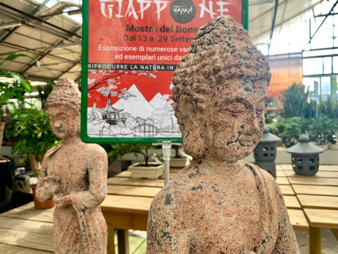 Mostra Bonsai 5