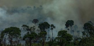 Amazzonia, presidio Legambiente al Consolato del Brasile giovedì 5.