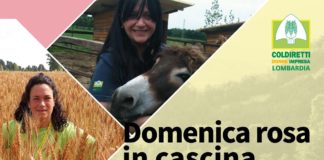 Domenica rosa in cascina a Truccazzano a cura di Coldiretti.
