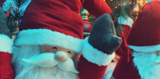Da Steflor è già Natale.