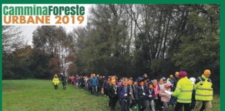 Foreste Urbane, appuntamenti in tutta la Regione a cura di Legambiente.