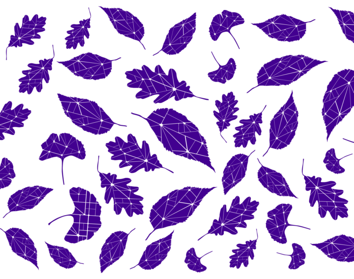 b473c3d9-1ba0-44d1-9668-4e943dab7146
