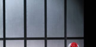 Storia d’amore in ascensore, da giovedì 19 al teatro Martinitt.