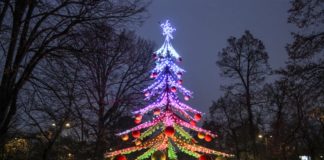 Accensione Albero di Natale a Porta Romana.