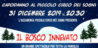 Capodanno al Circo a Peschiera Borromeo.