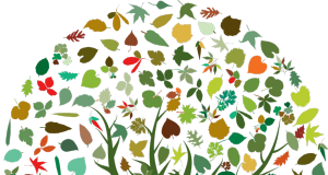 Agenzia Europea per l’Ambiente AEA: intervenire sulla perdita di biodiversità su clima e risorse naturali.
