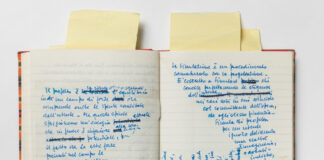 Aperte 3 nuove mostre in Triennale.