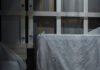 Follow the Paintings, mercoledì 12 in Triennale.